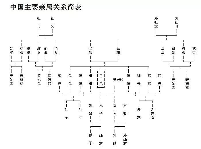 亲属关系